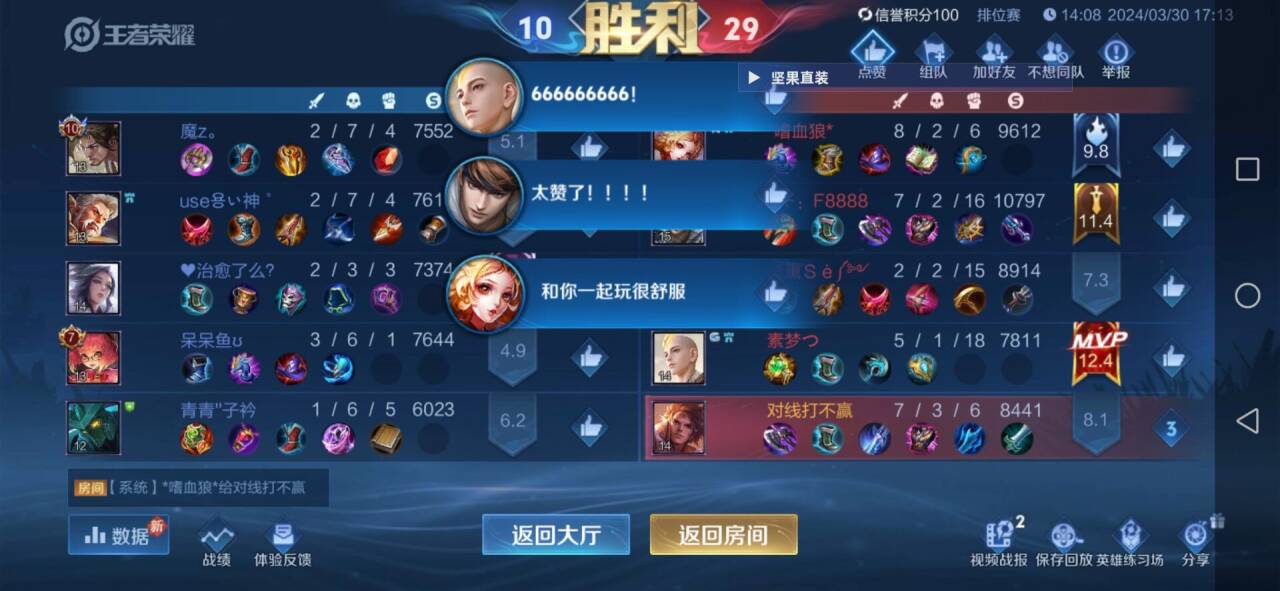 王者荣耀【迈凯轮】辅助