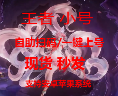 王者直装【喜洋洋】辅助