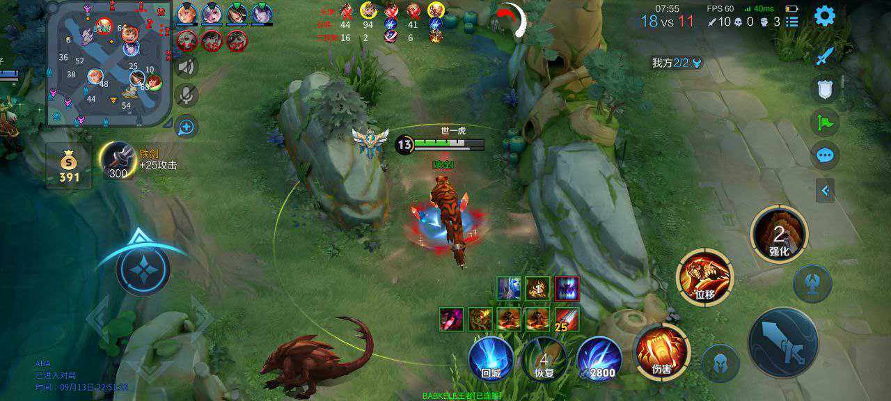 王者荣耀七猫外挂科技